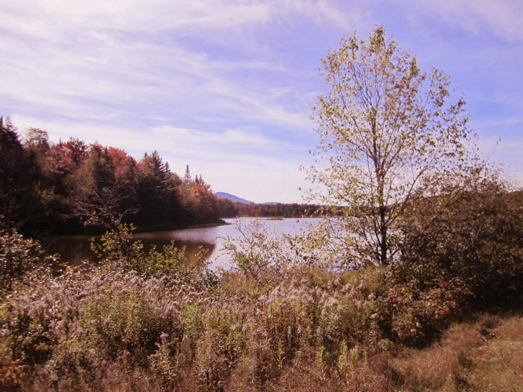Photo: Near Cedar River Dam Photo: Near Cedar River Dam