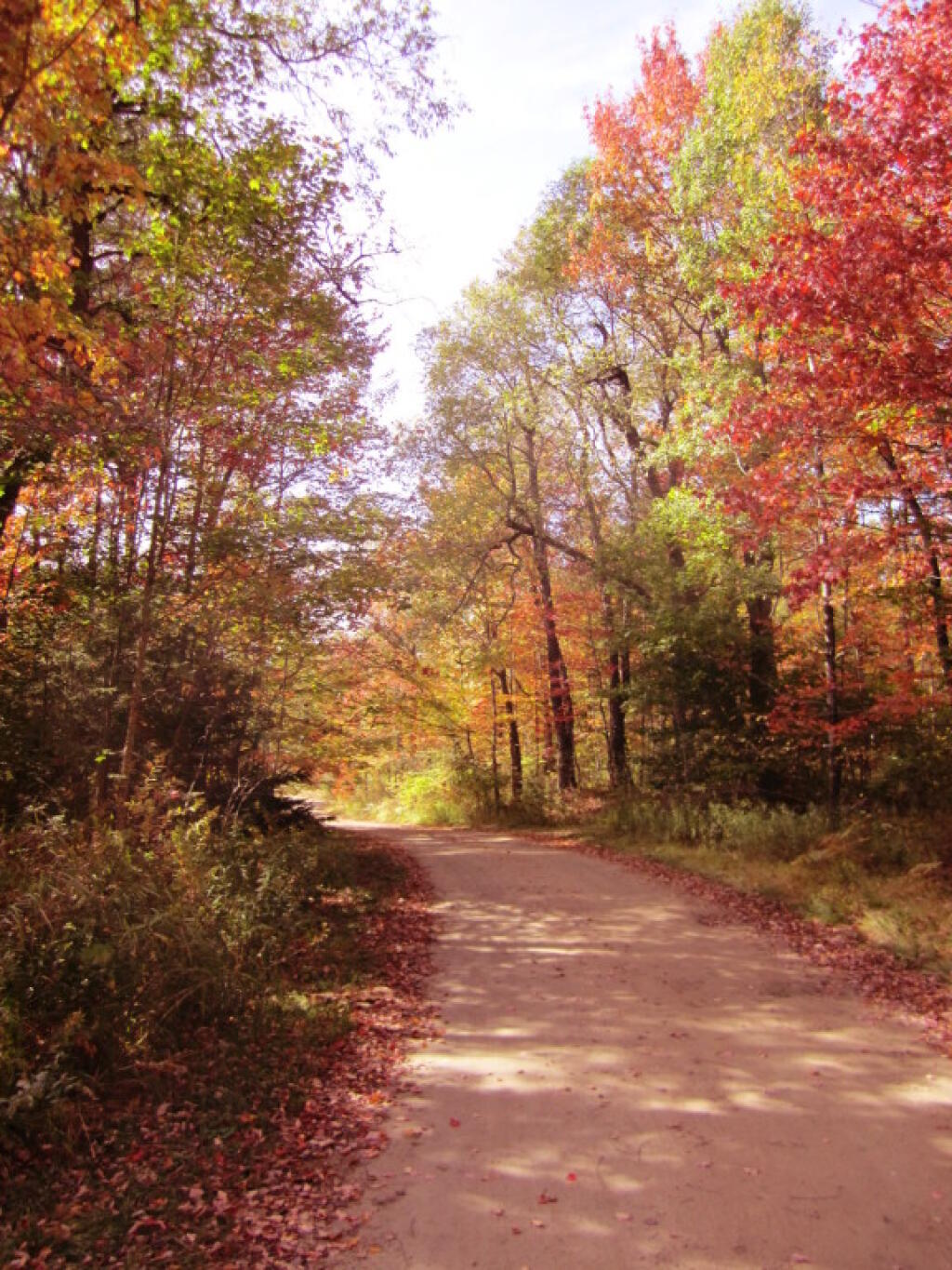 Photo: Scenic Otter Creek Road Photo: Scenic Otter Creek Road