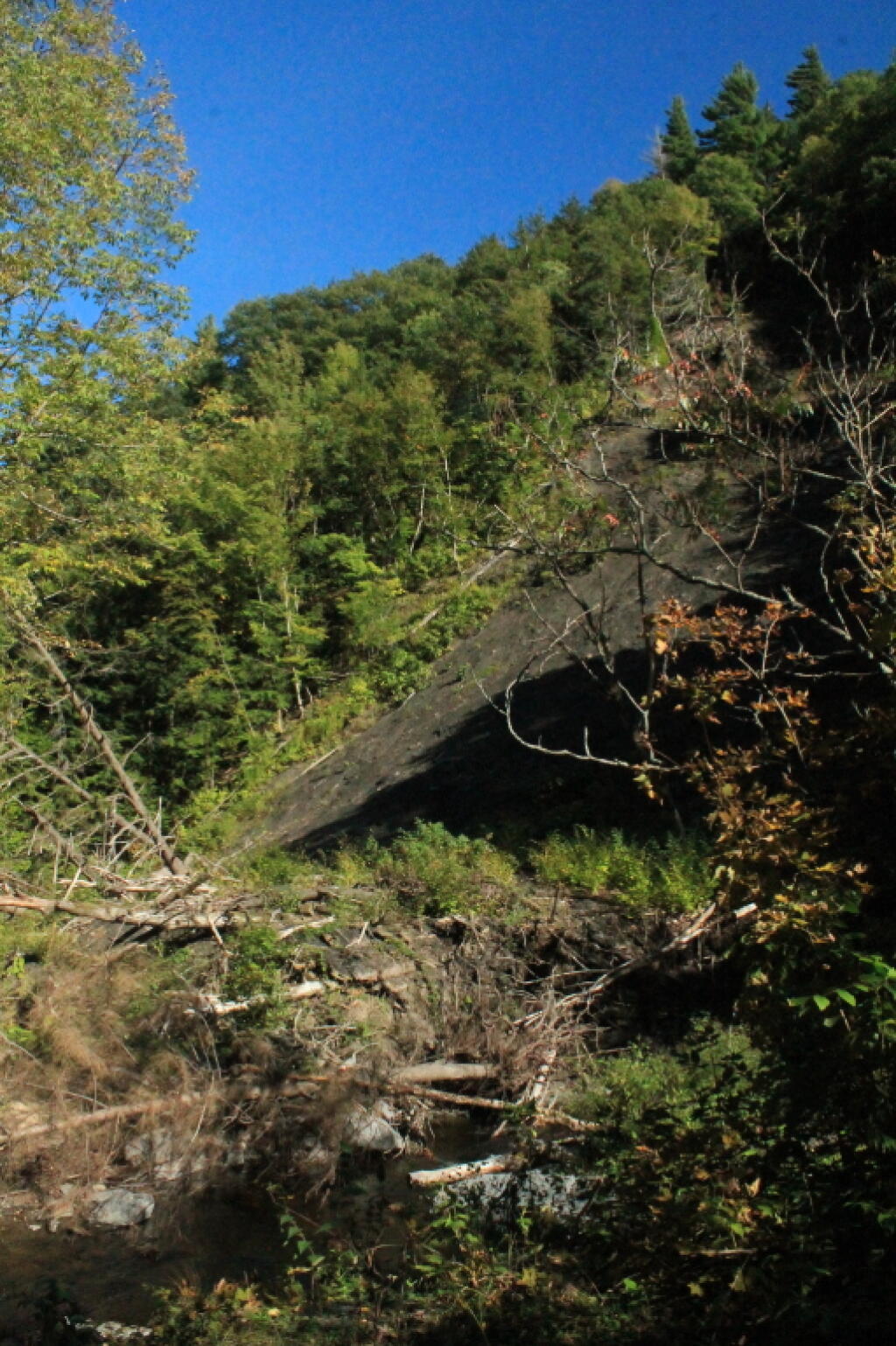 Photo: Slide That Rerouted Whetstone Creek Photo: Slide That Rerouted Whetstone Creek