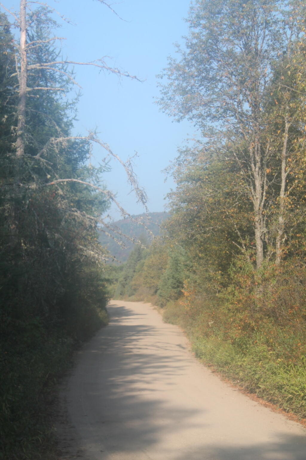 Photo: Cedar River - Limeklin Lake Road on Labor Day Photo: Cedar River - Limeklin Lake Road on Labor Day