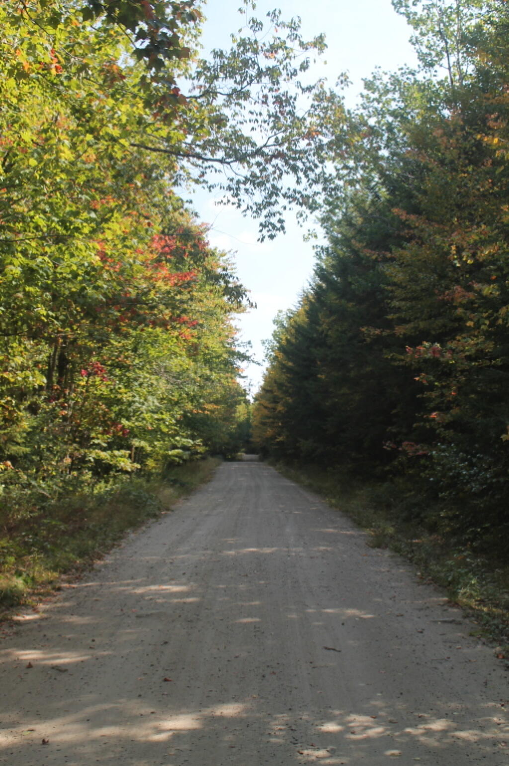 Photo: Colors Starting to Turn Photo: Colors Starting to Turn