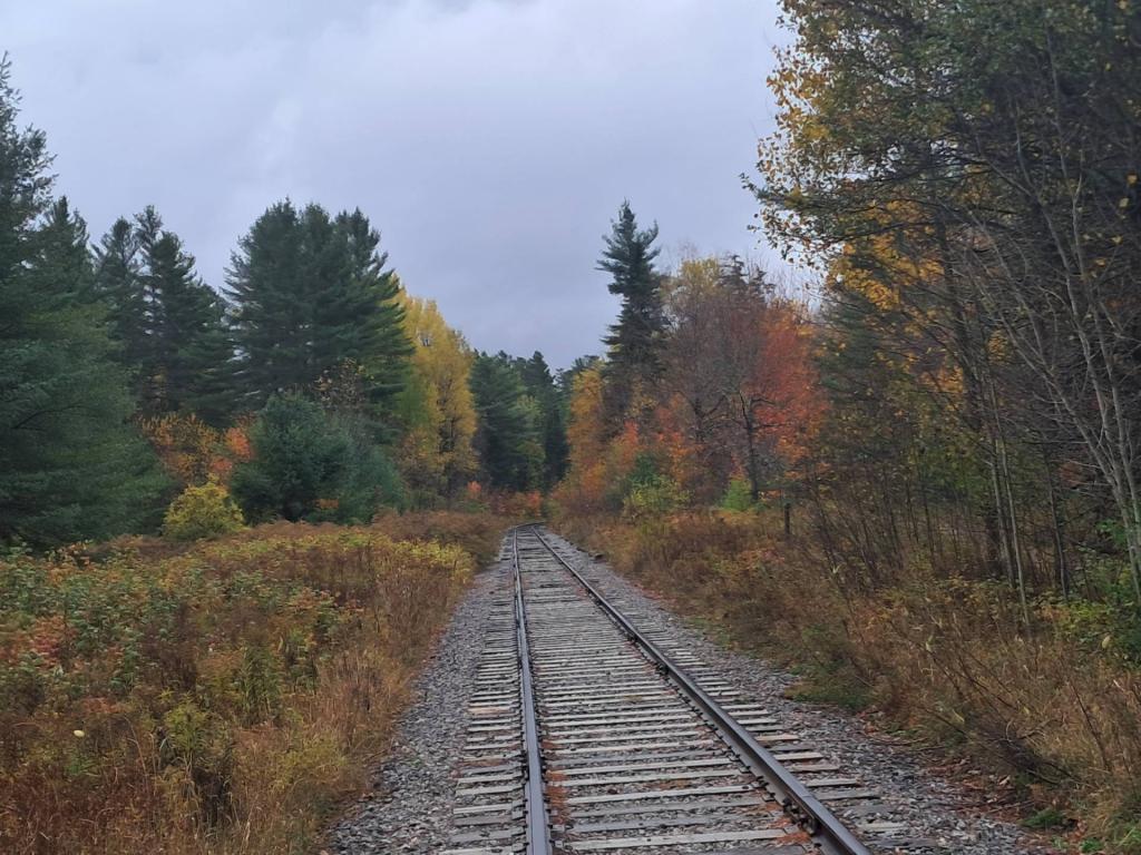 Photo: Adirondack Scenic Railroad Photo: Adirondack Scenic Railroad