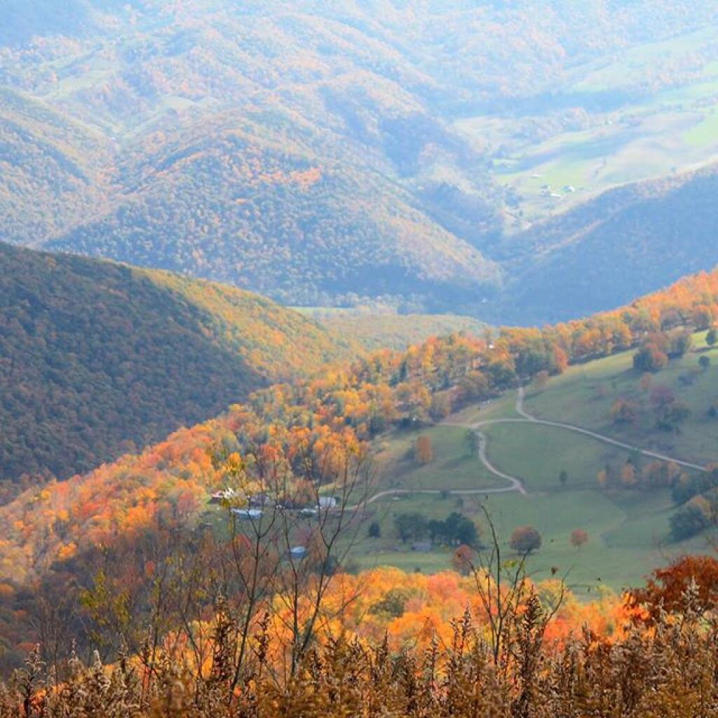 Photo: Farm in Riverton, WV Photo: Farm in Riverton, WV