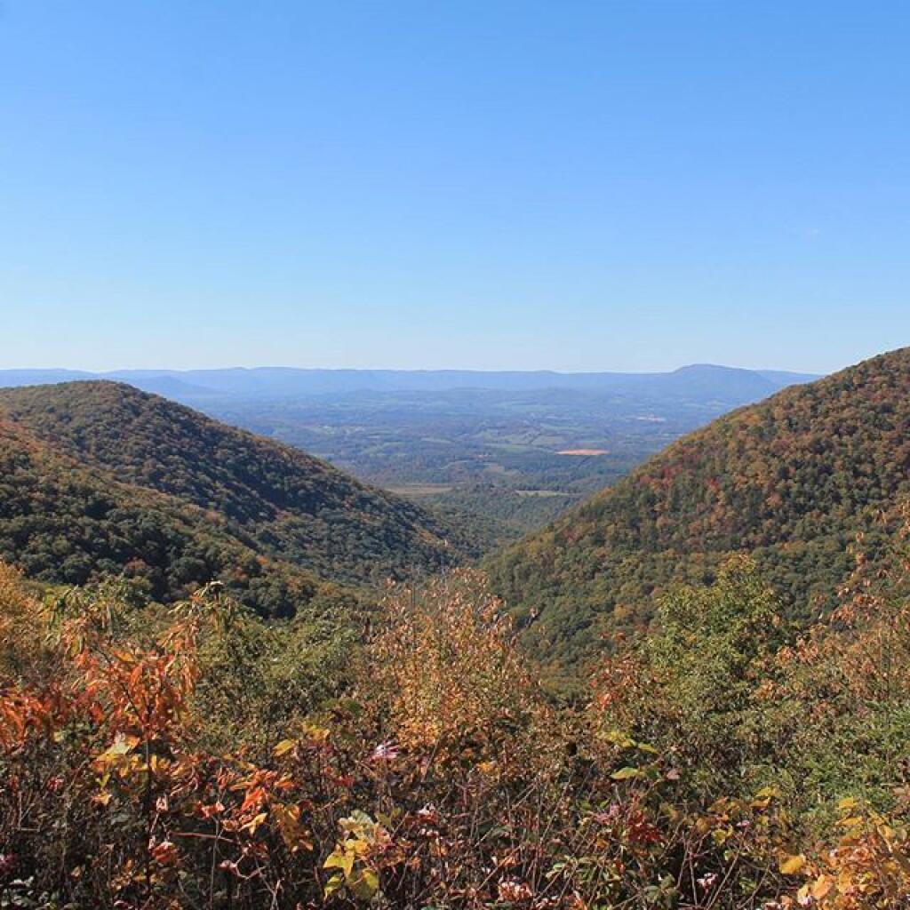 Photo: Farther North on the Parkway Photo: Farther North on the Parkway
