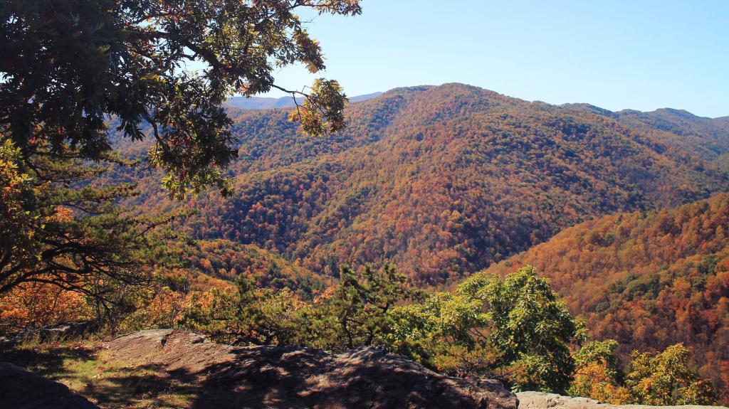 Photo: Along the Parkway Photo: Along the Parkway