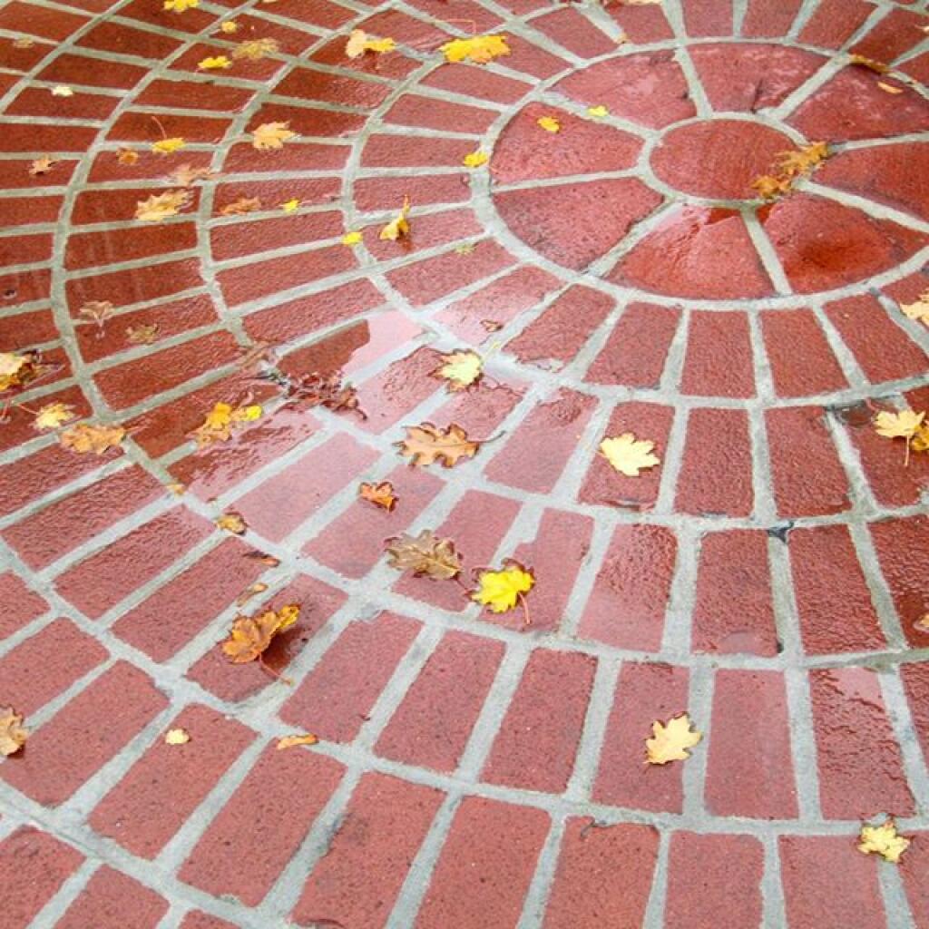 Photo: Leaves Photo: Leaves