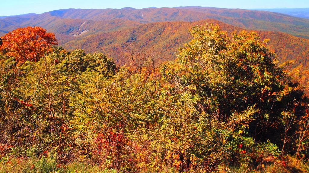 Photo: Stony Ridge Photo: Stony Ridge