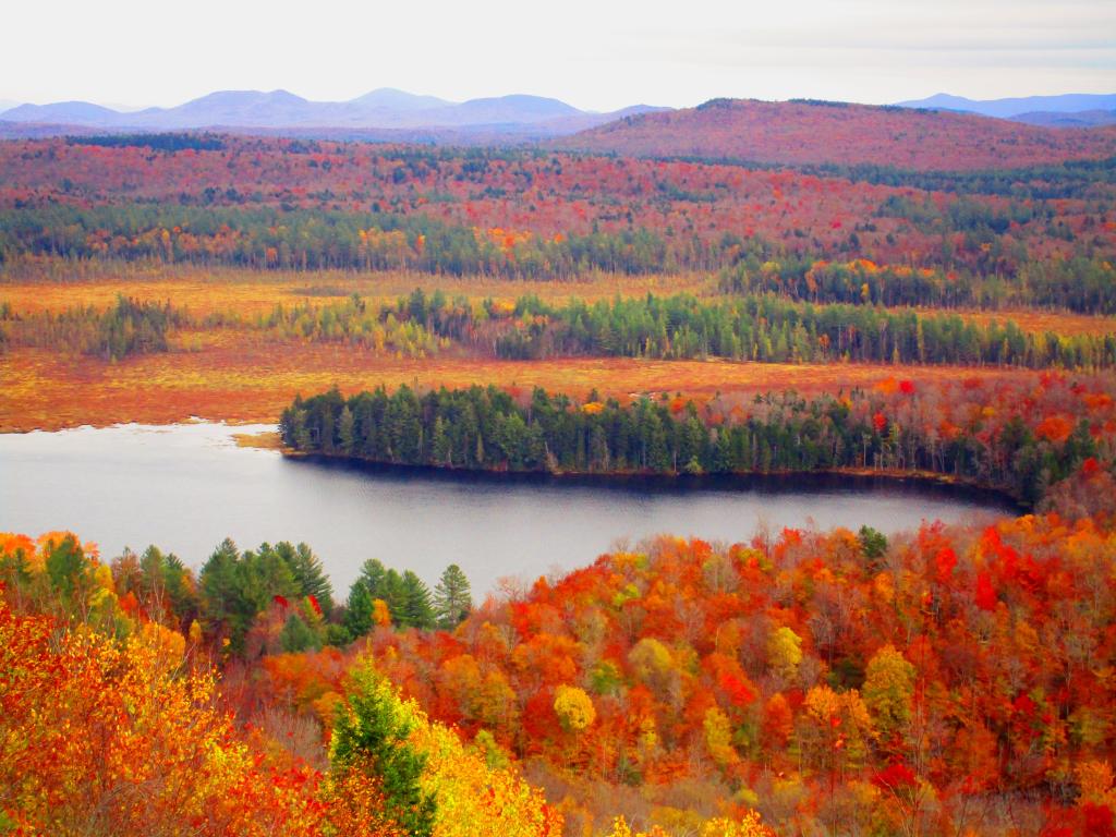 Photo: Bog River Flow from Lows Ledge Photo: Bog River Flow from Lows Ledge