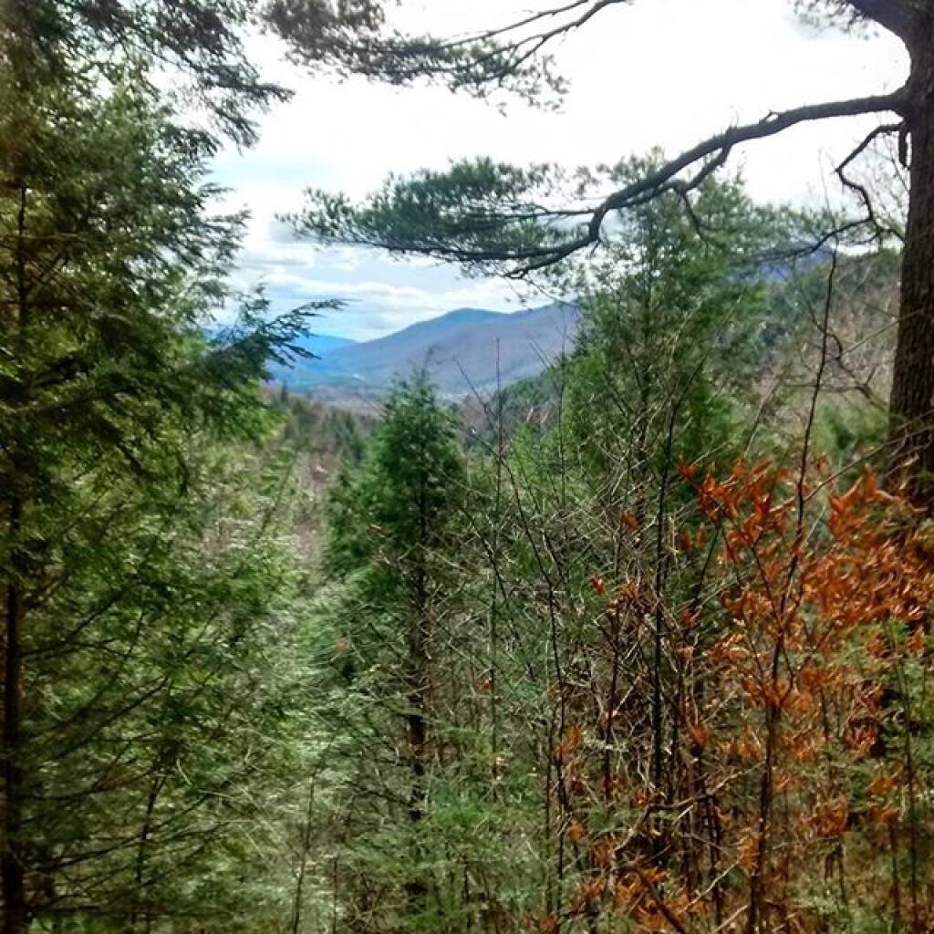 Photo: Big Branch Overlook Photo: Big Branch Overlook