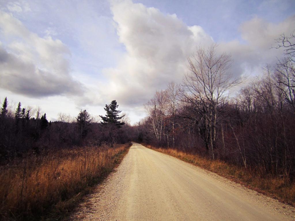 Photo: November Photo: November