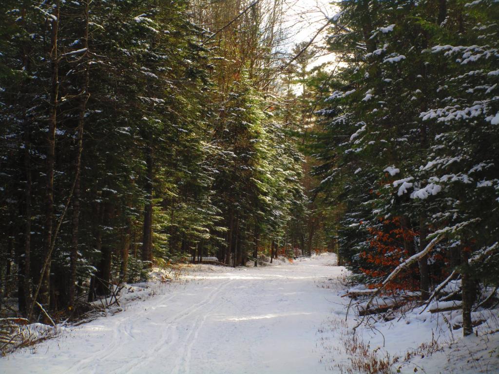 Photo: Newcomb Lake Road Photo: Newcomb Lake Road