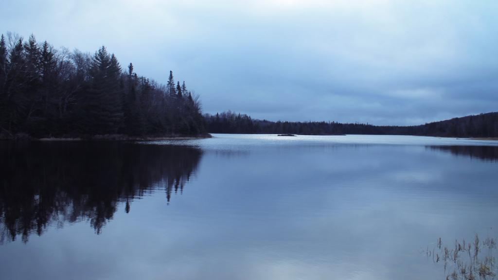 Photo: Cedar River Flow Photo: Cedar River Flow