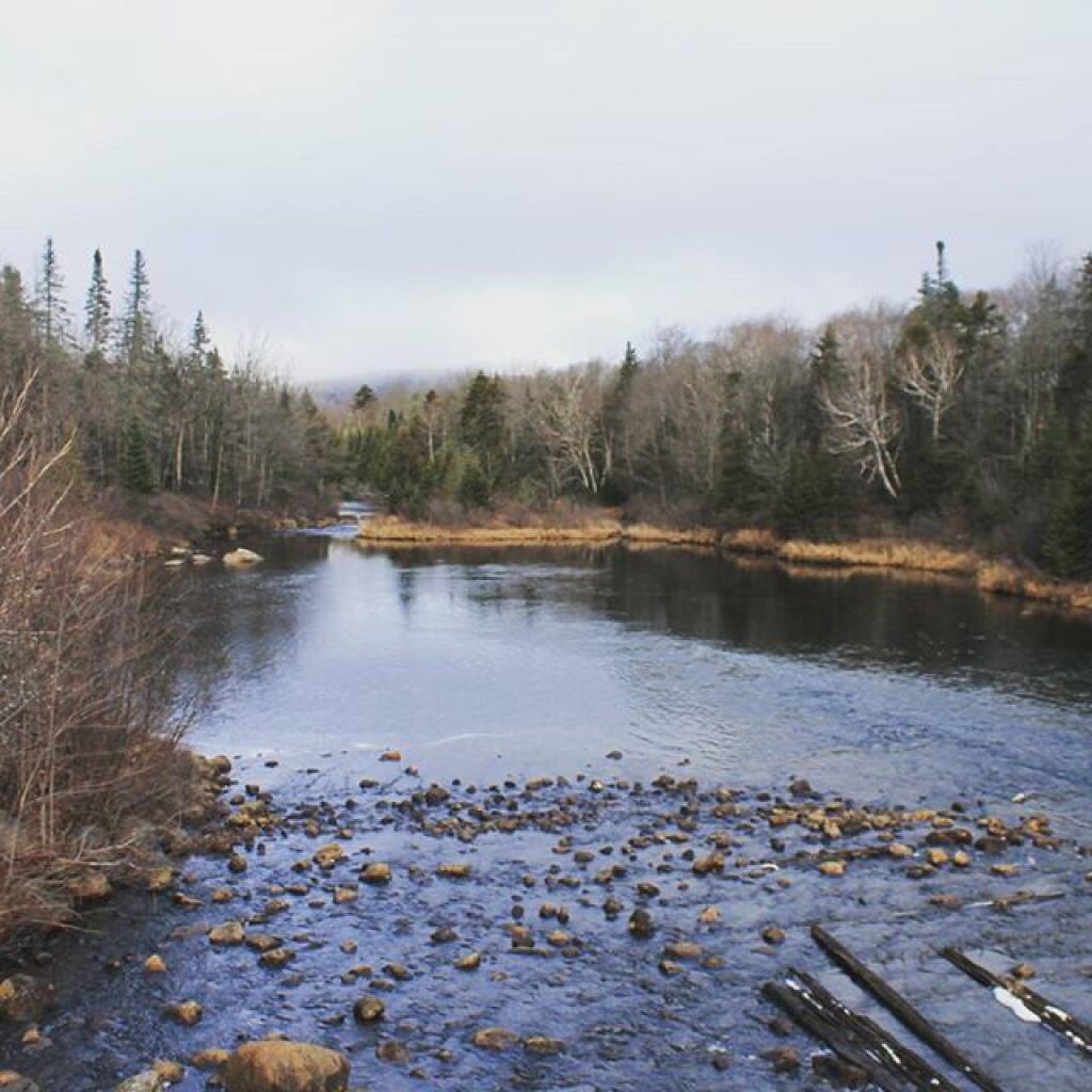 Photo: Cedar River Off Wakely Dam Photo: Cedar River Off Wakely Dam