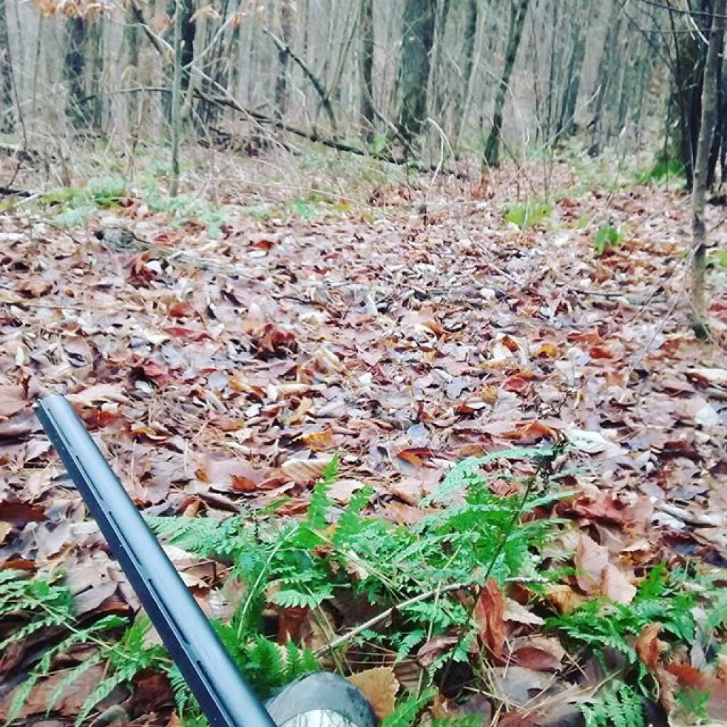 Photo: Typical Fall Saturday in Madison County Photo: Typical Fall Saturday in Madison County