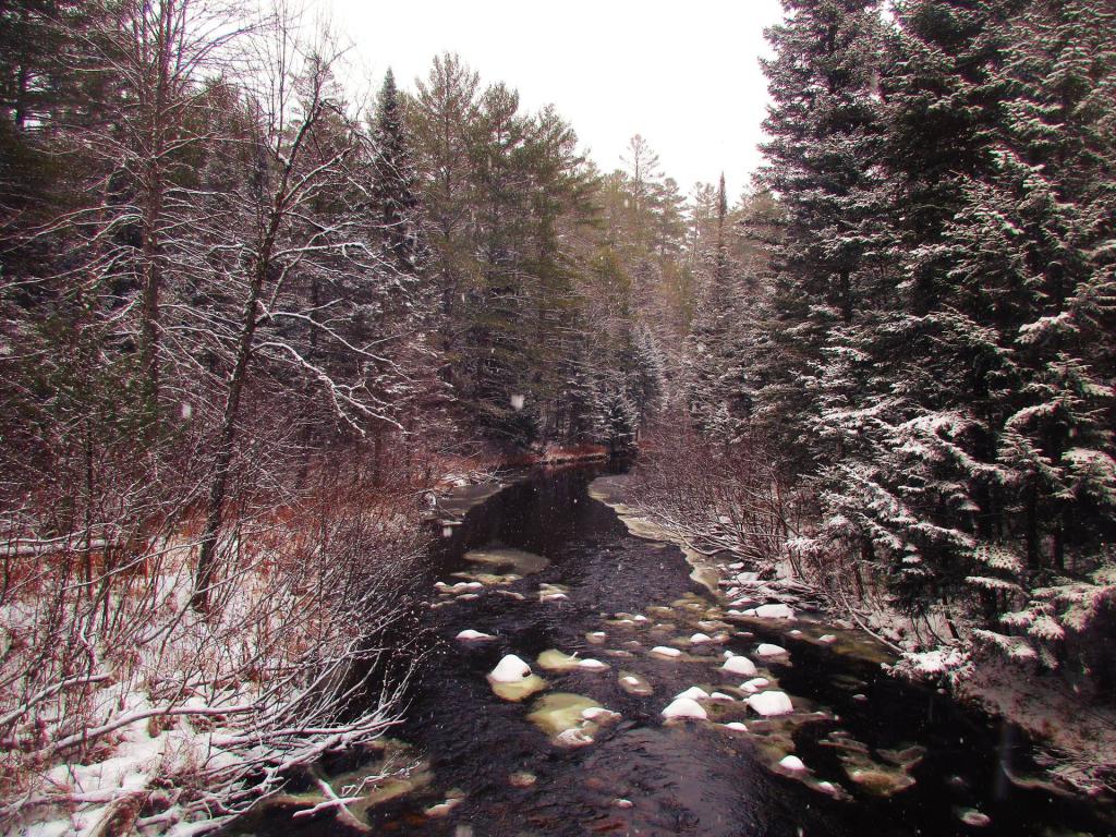 Photo: Vanderwhacker Brook Photo: Vanderwhacker Brook