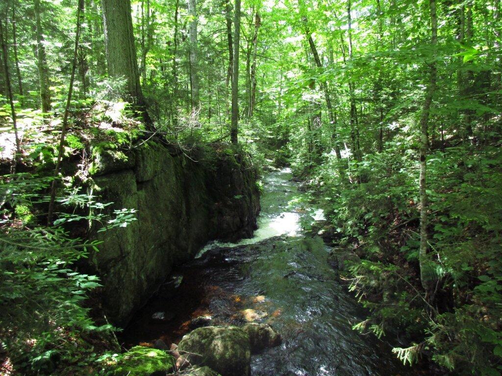 Photo: Outflow To Windfall Pond Photo: Outflow To Windfall Pond