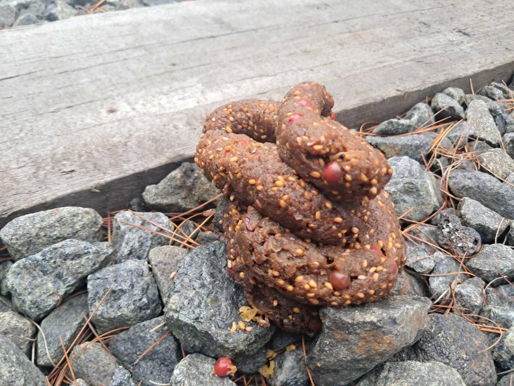 Photo: Bear crap on the railroad tracks Photo: Bear crap on the railroad tracks