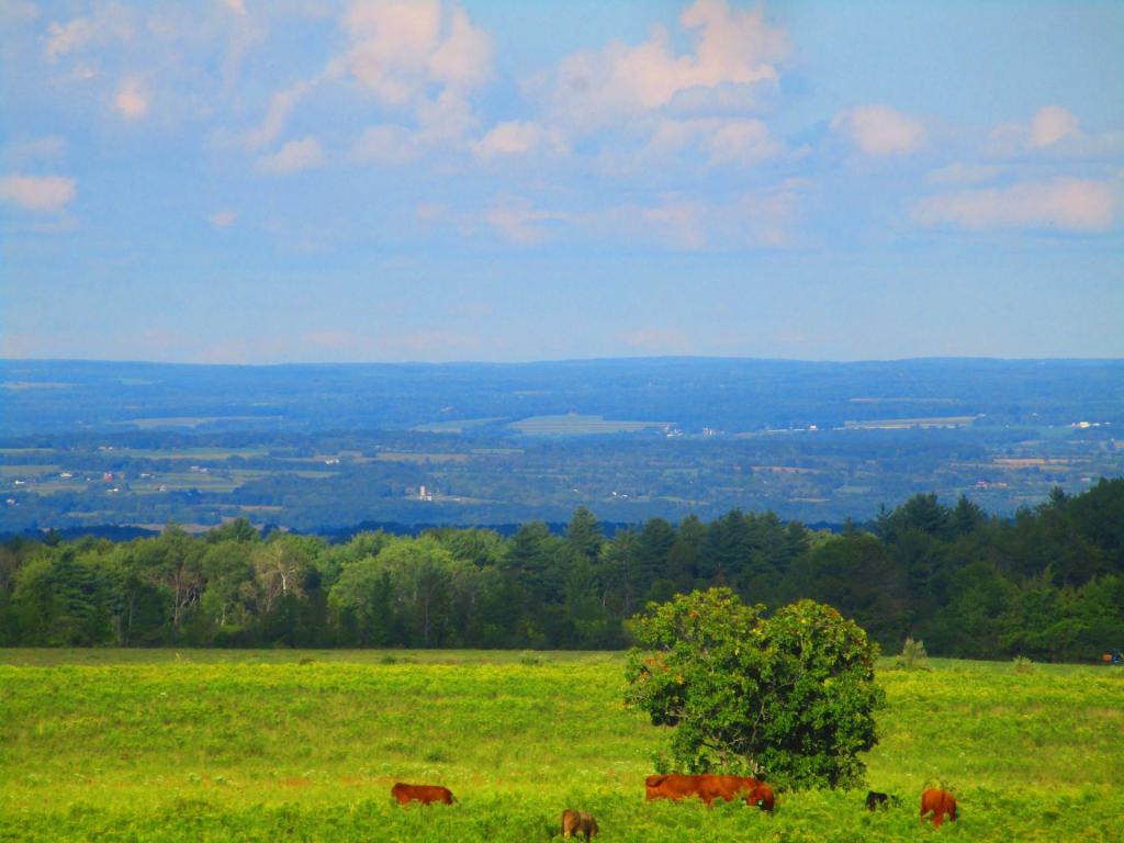 Photo: Pasture Photo: Pasture