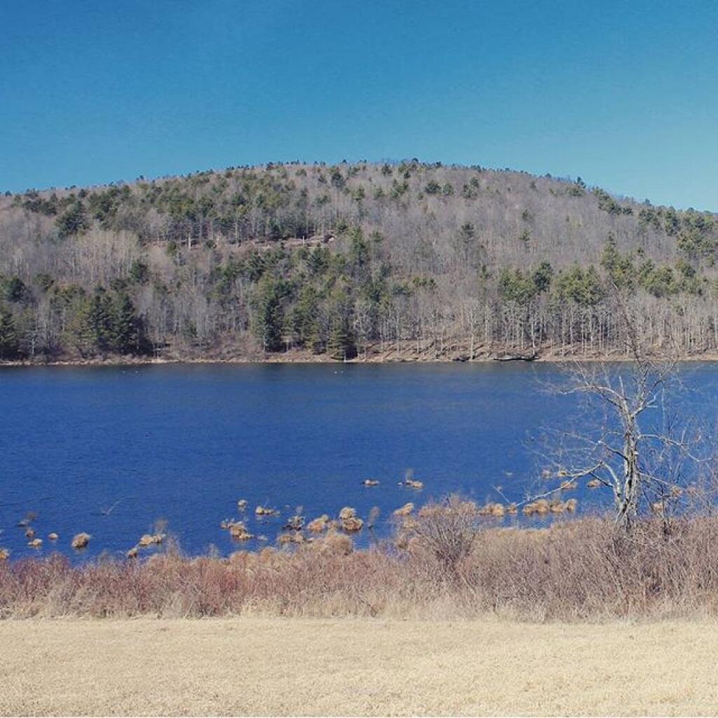 Photo: Towards Stone Store State Forest Photo: Towards Stone Store State Forest