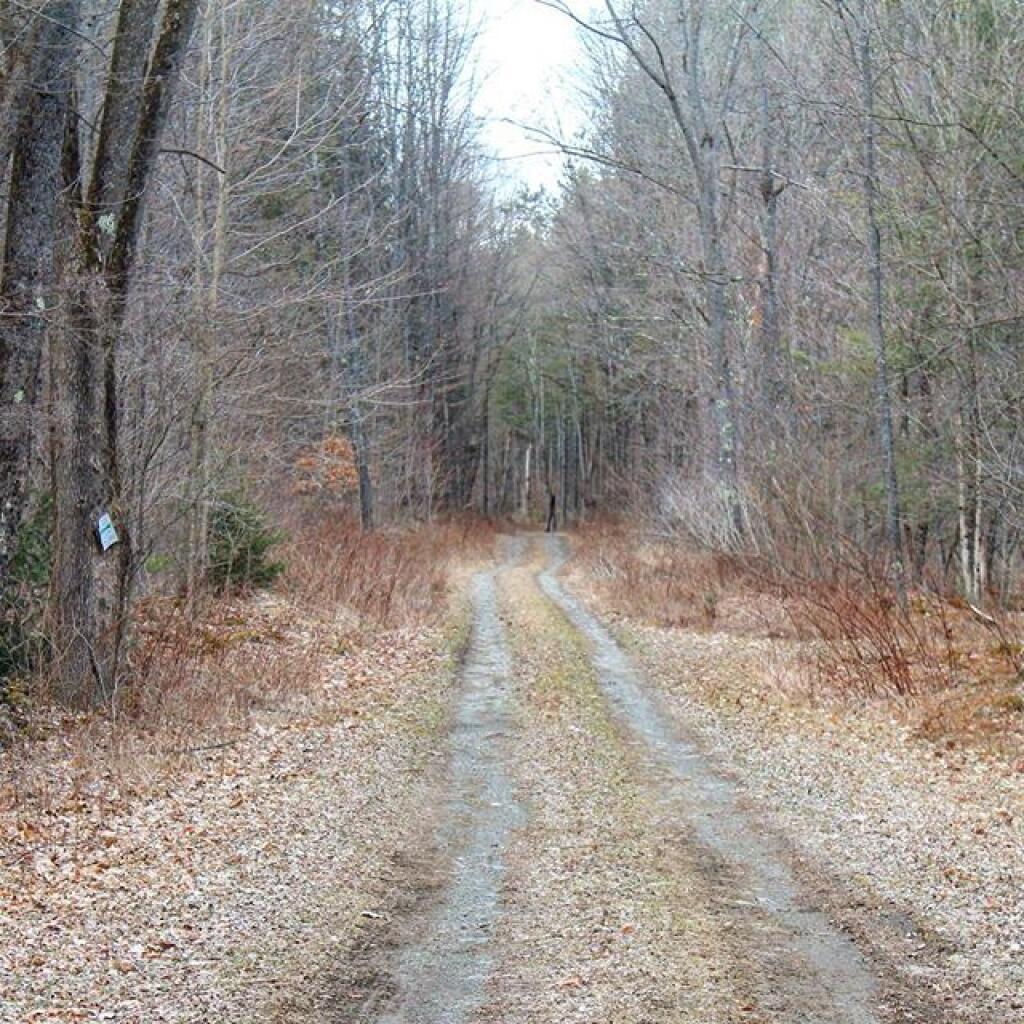 Photo: Betty Brook Road wasn't too muddy Photo: Betty Brook Road wasn't too muddy