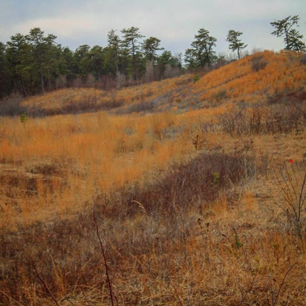Photo: Dune Photo: Dune