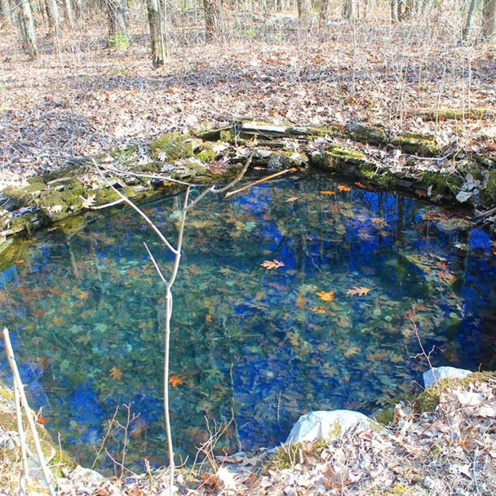 Photo: Old CCC Firefighting Pond Photo: Old CCC Firefighting Pond
