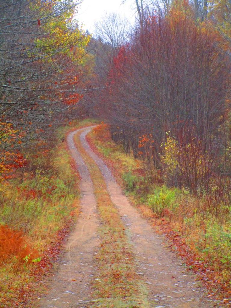 Photo: Town Line Road Photo: Town Line Road