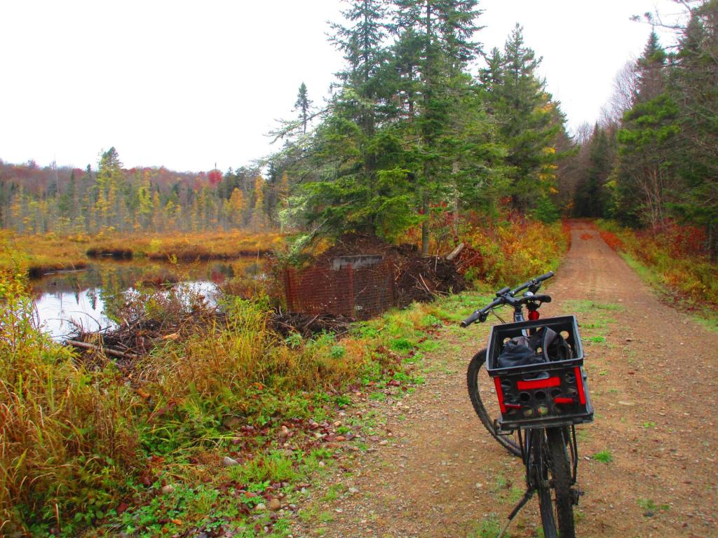 Photo: Riding Pine Pond Road Photo: Riding Pine Pond Road