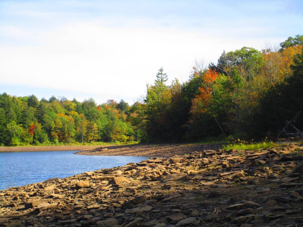 Photo: Myosotis Lake is low! Photo: Myosotis Lake is low!