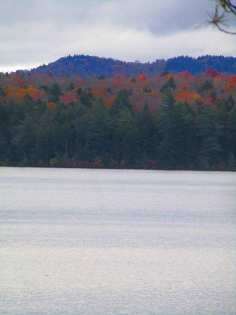 Photo: Horseshoe Lake Photo: Horseshoe Lake