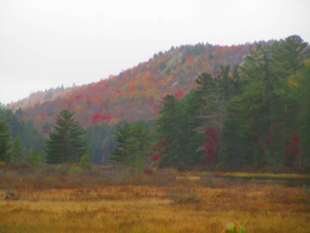 Photo: Drizzle at Lows Ledge Photo: Drizzle at Lows Ledge