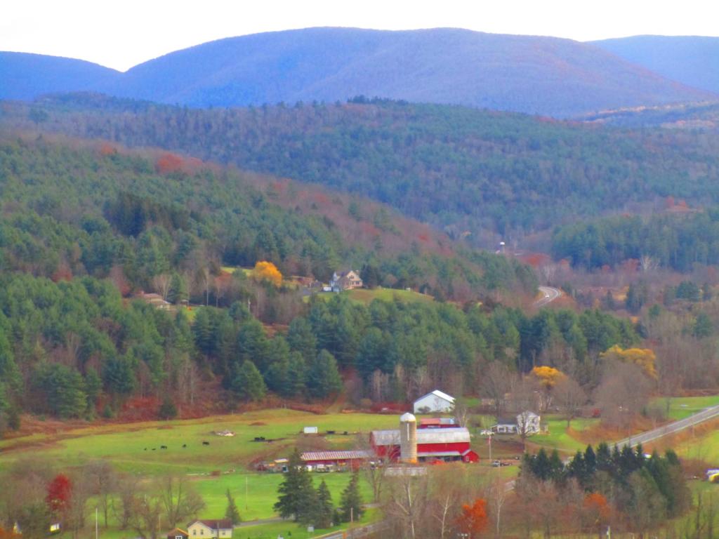 Photo: Farm