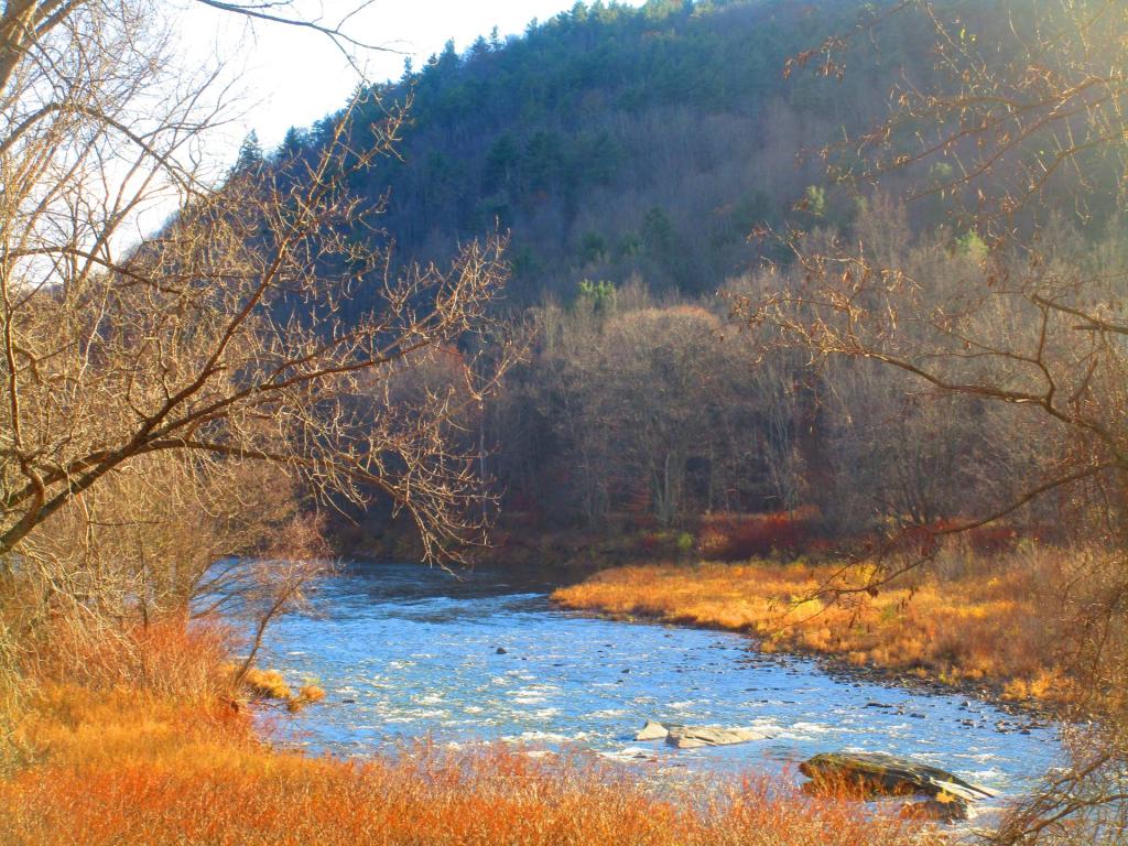 Photo: Schoharie Creek