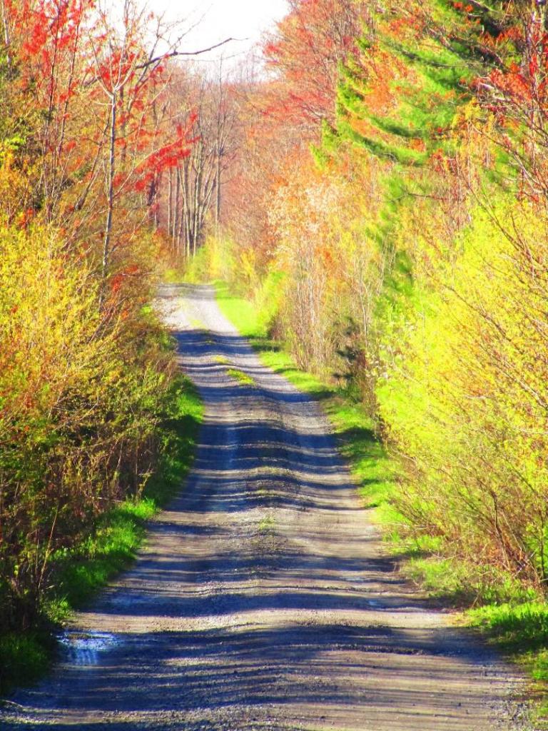 Photo: Burnt Hill Road Photo: Burnt Hill Road