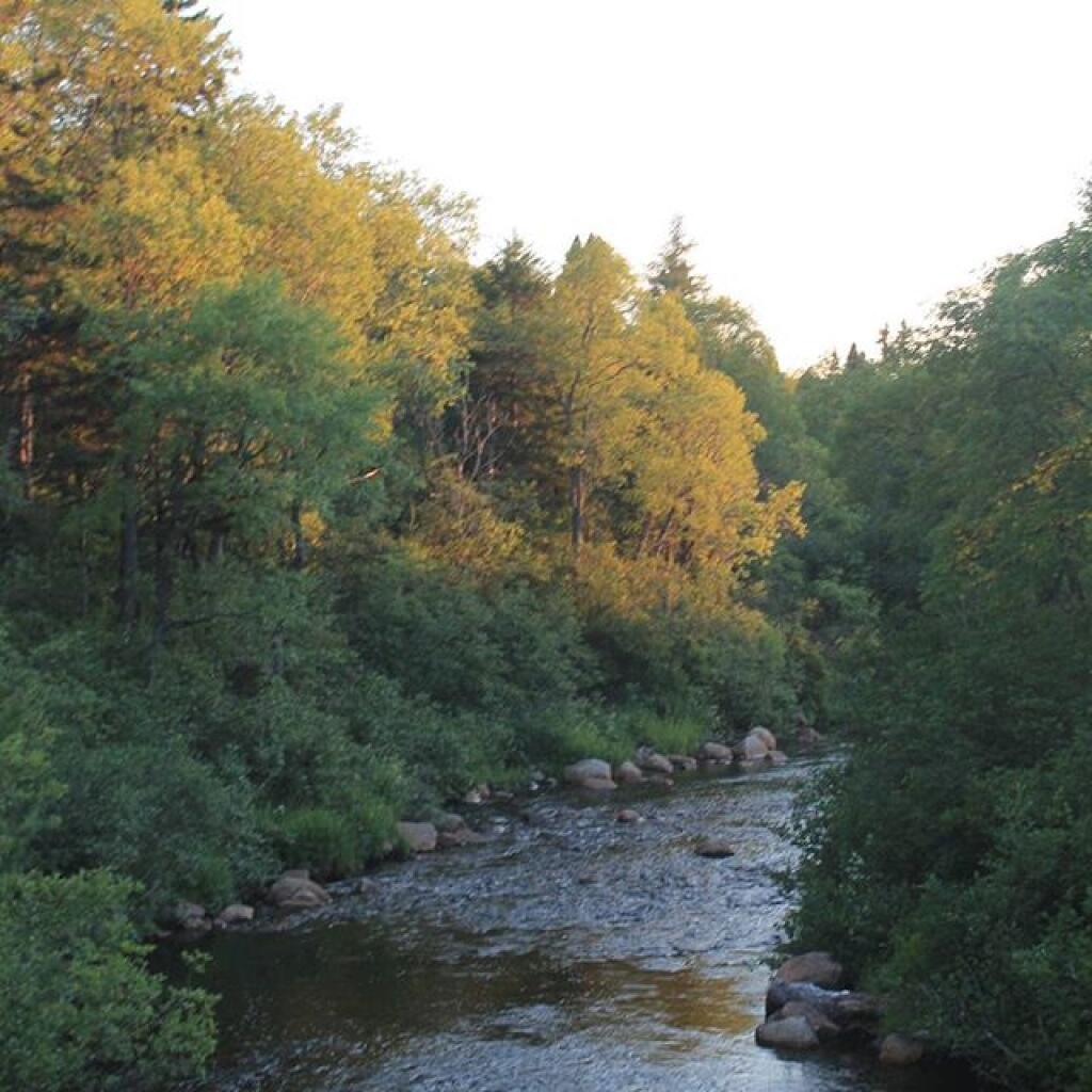 Photo: Moose River Photo: Moose River