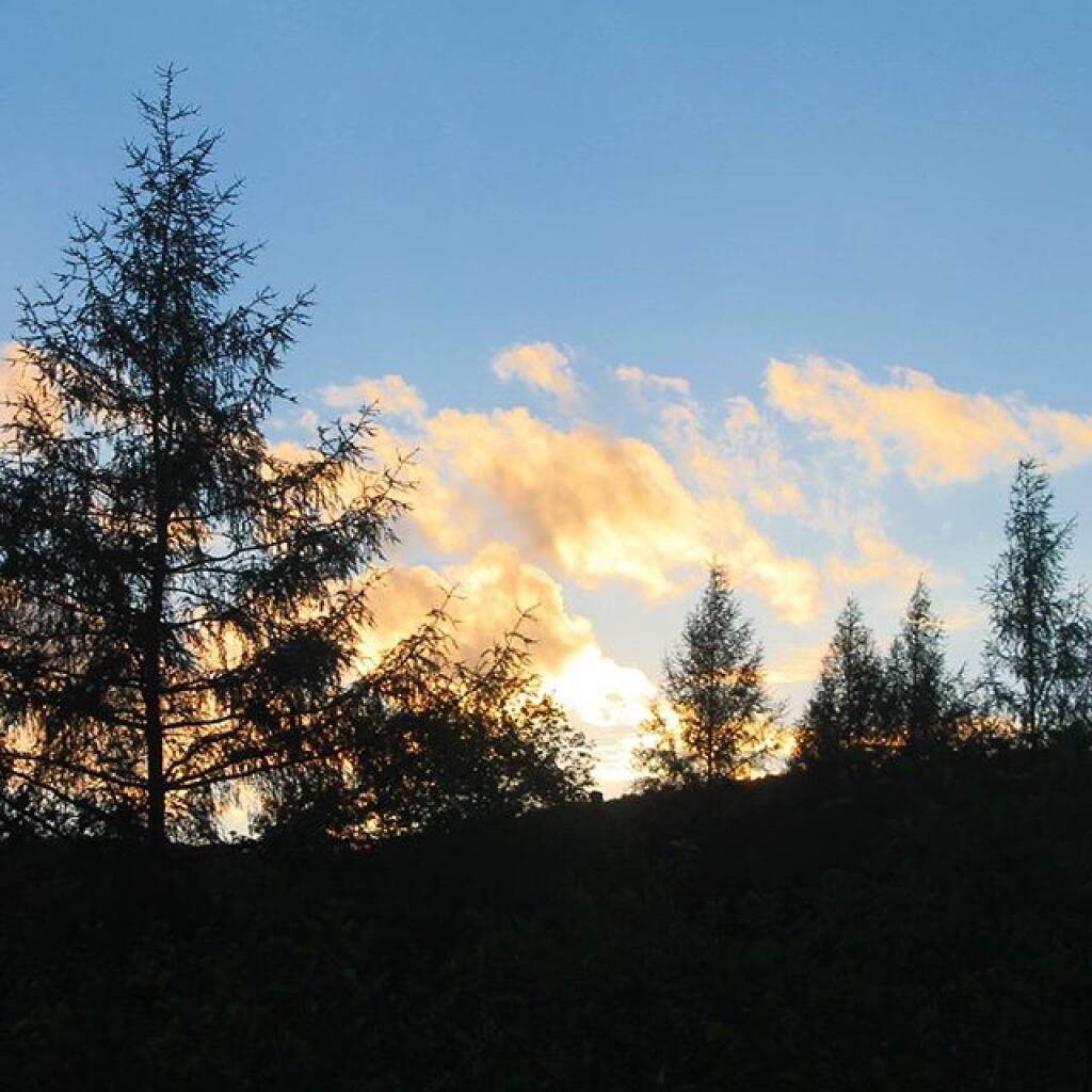 Photo: Sunset Photo: Sunset