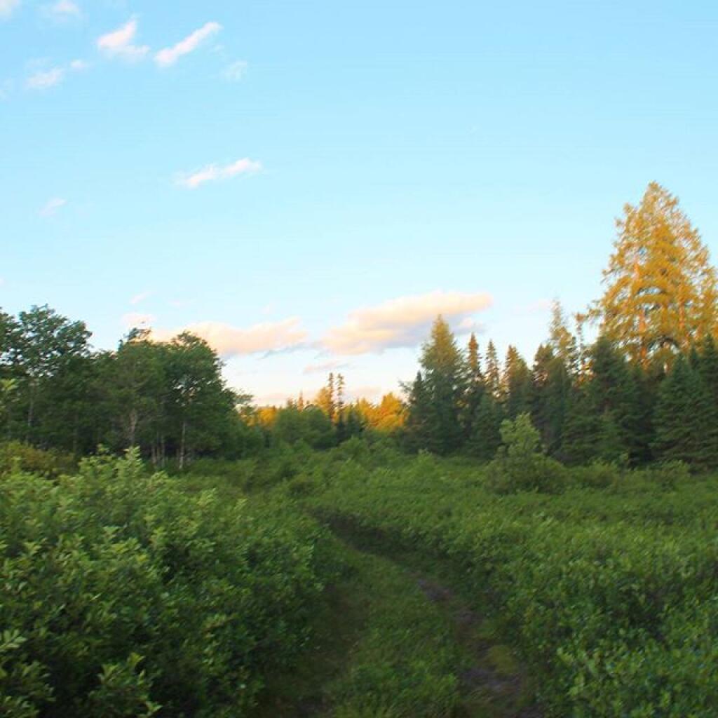 Photo: Near Helldiver Pond Photo: Near Helldiver Pond