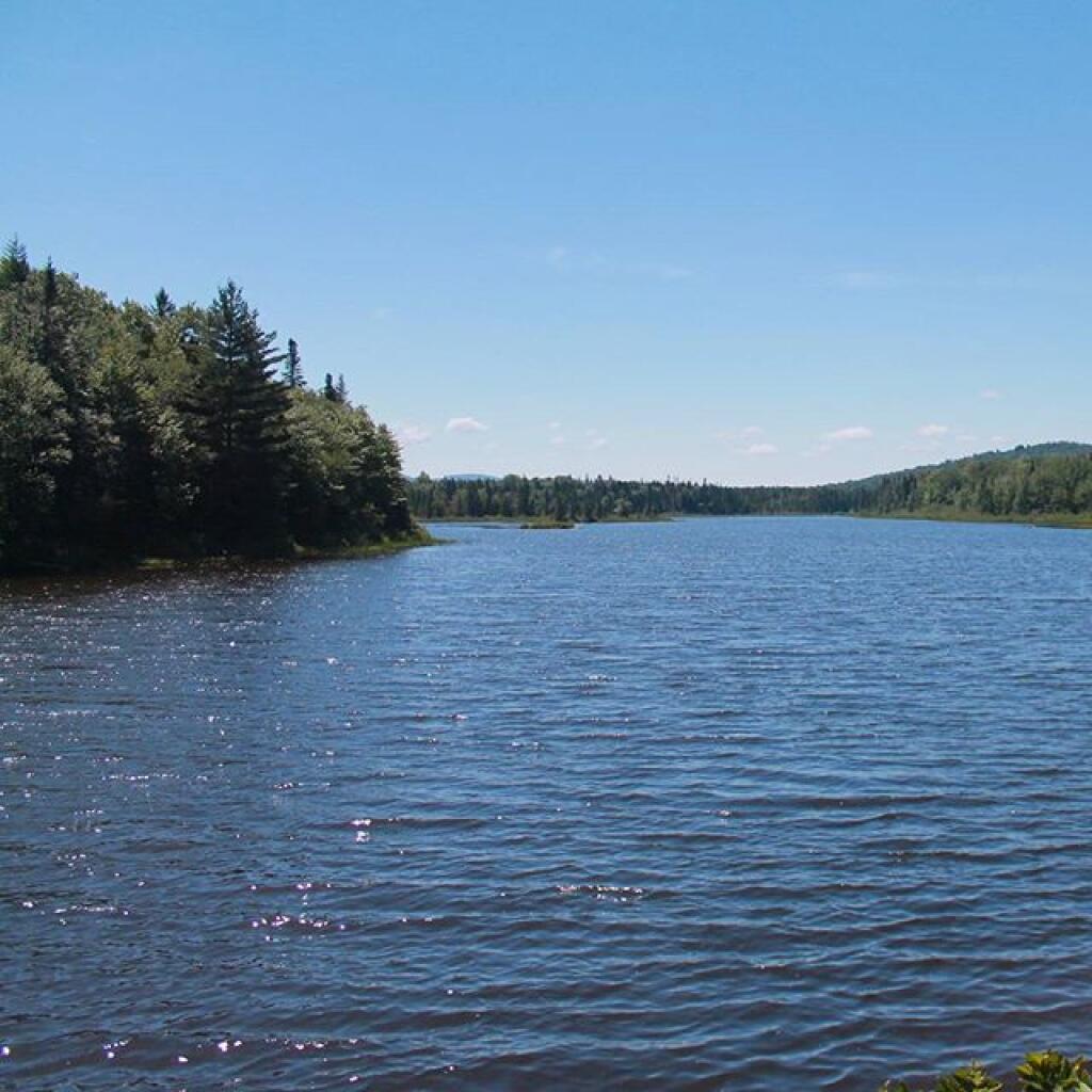 Photo: Perfect day on Cedar River Flow Photo: Perfect day on Cedar River Flow