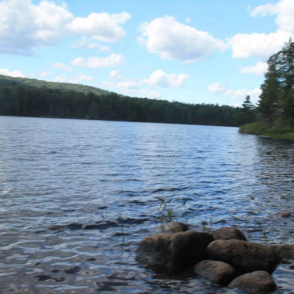 Photo: Shore of Bubb Lake Photo: Shore of Bubb Lake