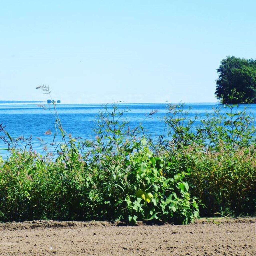 Photo: Lake Photo: Lake
