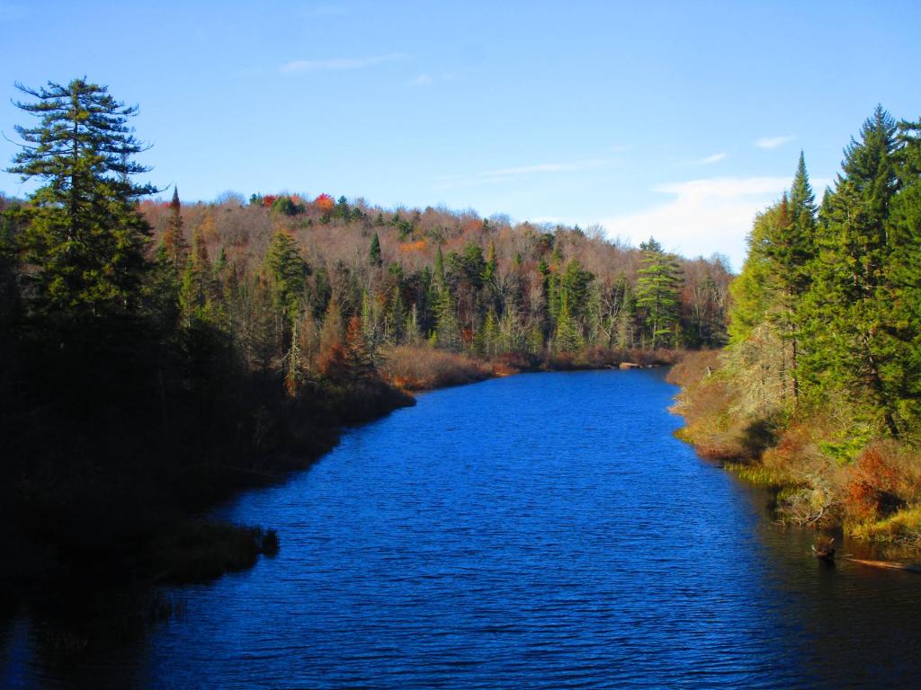 Photo: Round Lake Outlet from the Goodman Bridge Photo: Round Lake Outlet from the Goodman Bridge