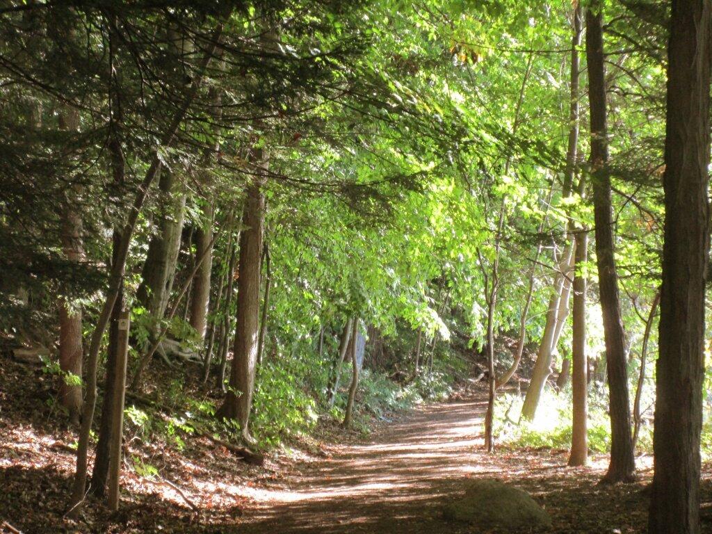 Photo: Path