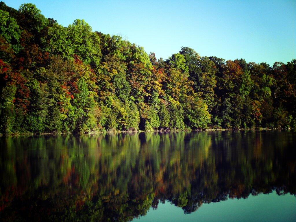 Photo: Shoreline Photo: Shoreline