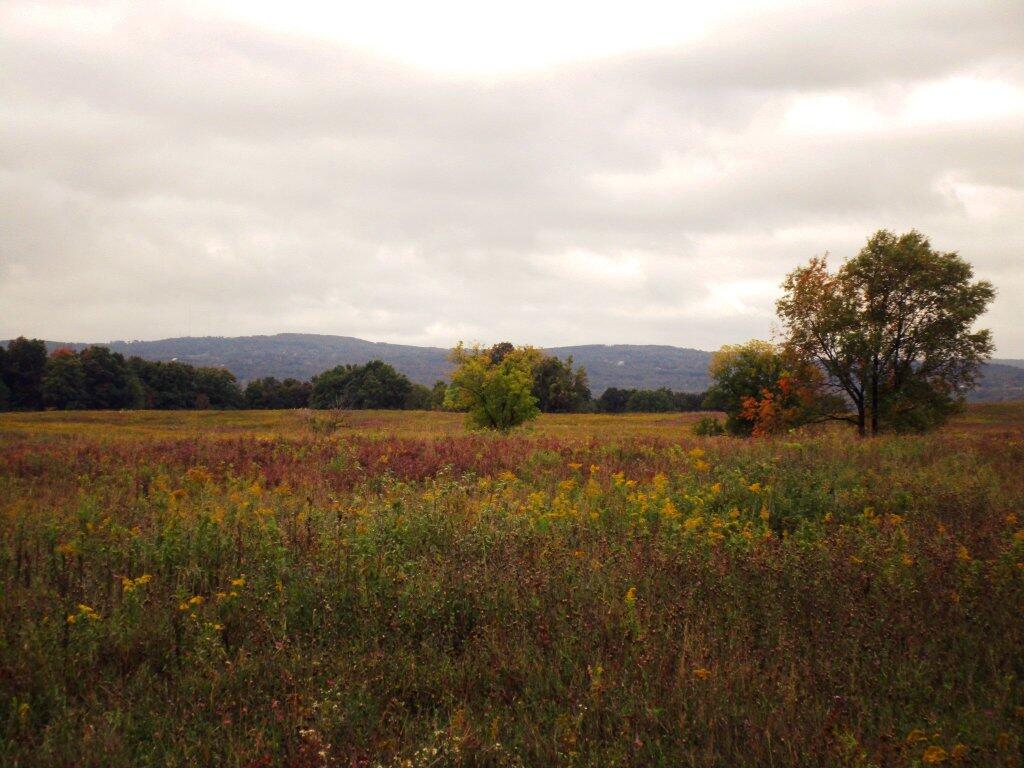 Photo: Hills Of Pompey Photo: Hills Of Pompey