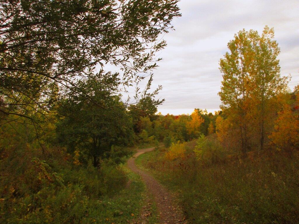 Photo: Starting To Get Some Better Colors Photo: Starting To Get Some Better Colors