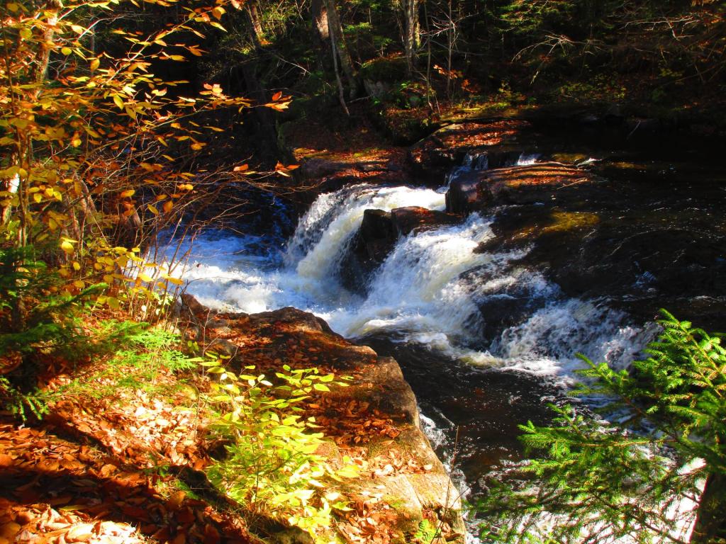 Photo: Swinging Falls Photo: Swinging Falls