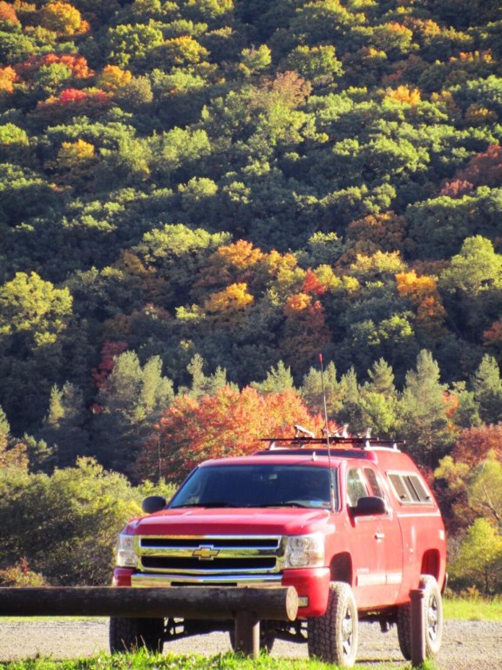 Photo: Big Red Photo: Big Red