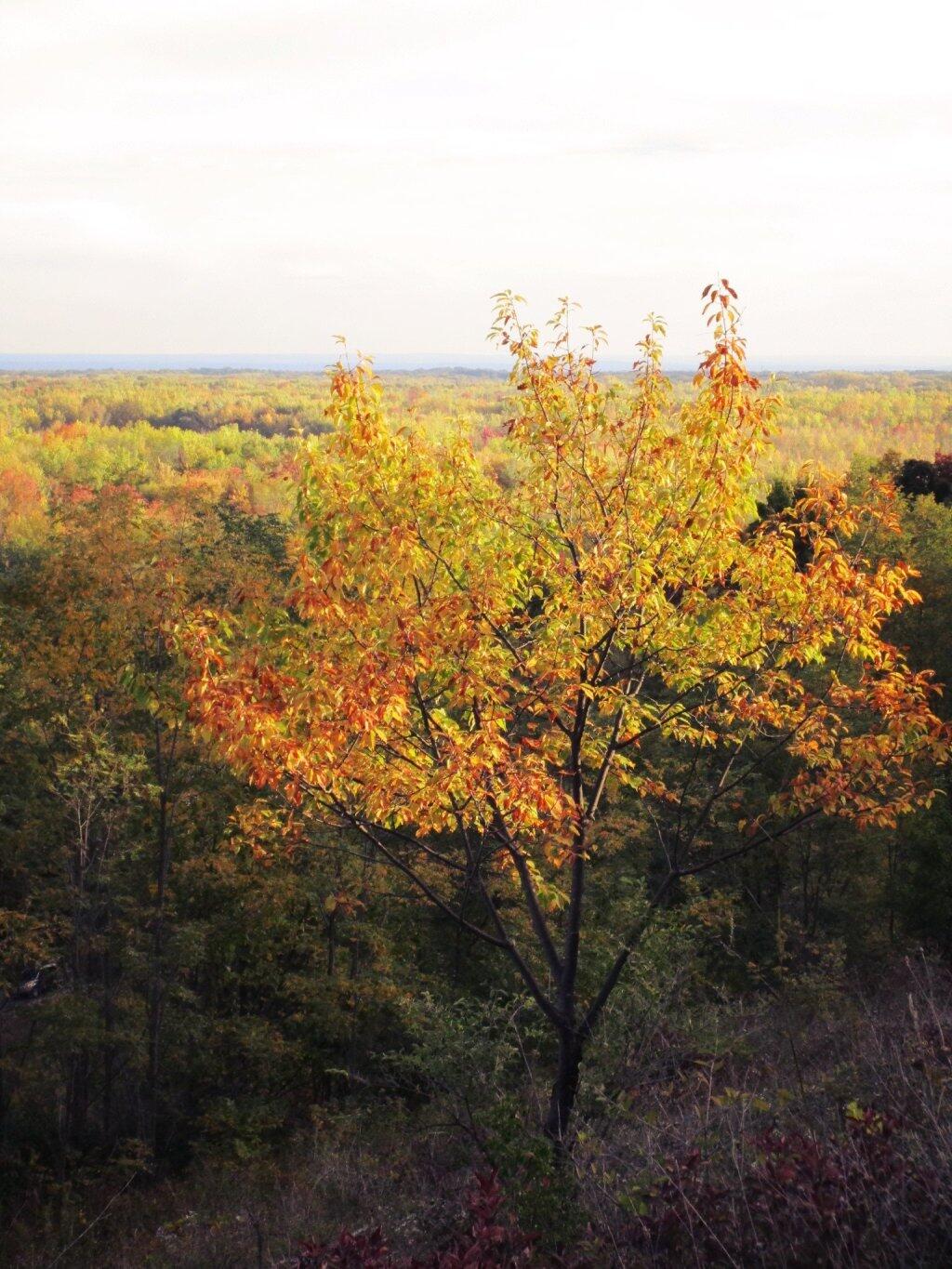Photo: Off The Gravel Pit Photo: Off The Gravel Pit
