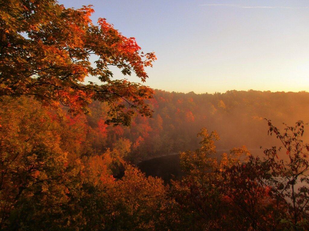 Photo: Foggy Morning
