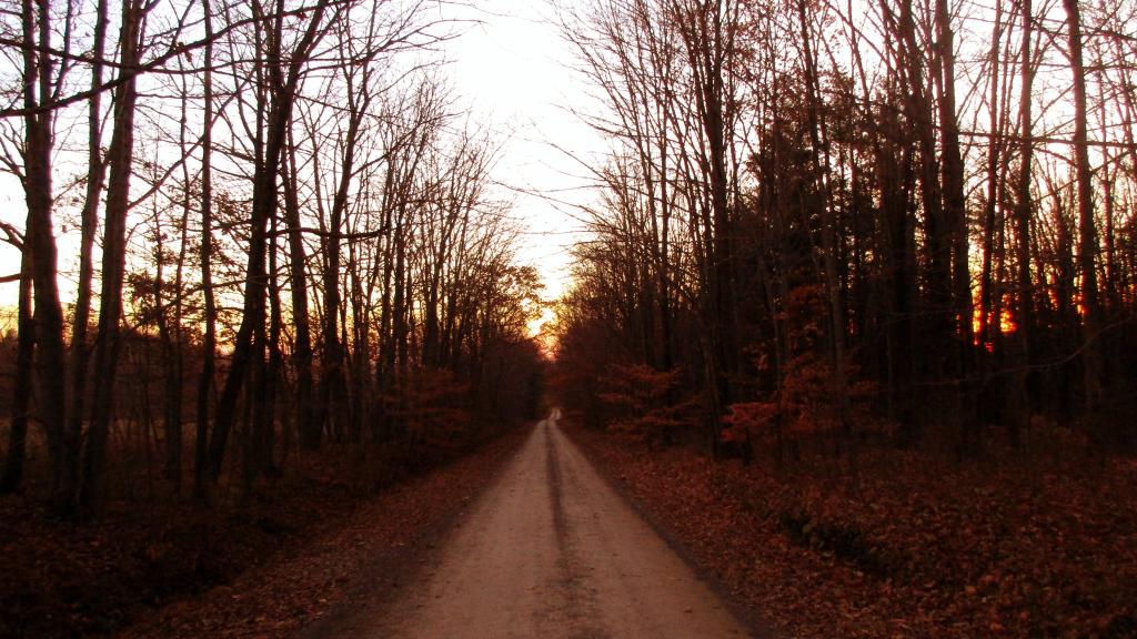 Photo: Chicken Coop Road Photo: Chicken Coop Road